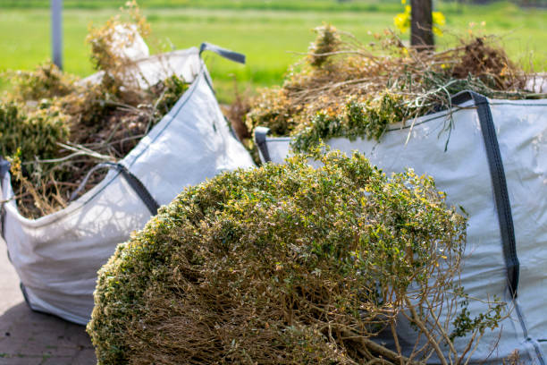 Best Garage Cleanout  in Bridgman, MI